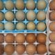 Farm Fresh Eggs