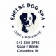 Shelbs Dog Spa (Dog Grooming)